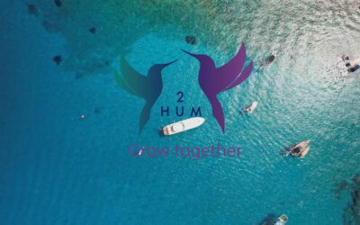 Why people love to work with 2 HUM